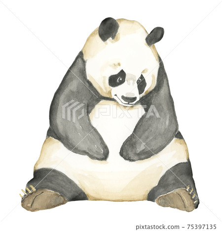 熊貓[手繪水彩] 75397135