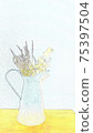 乾花和水罐 75397504