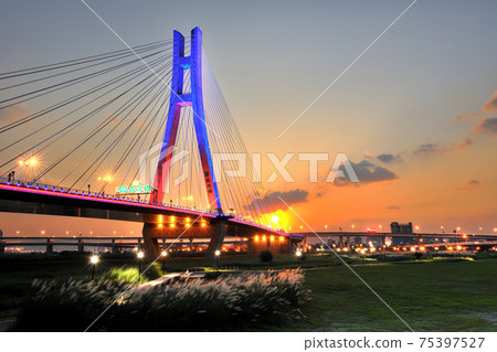 新北市-新北大橋,橋樑,斜張橋,高架橋,大漢溪,雲彩,日落,黃昏,霞光,光芒,芒花,秋天 新北市-新北大橋,橋樑,斜張橋,高架橋,大漢溪,雲彩,日落,黃昏,霞光,光芒,芒花,秋天 75397527