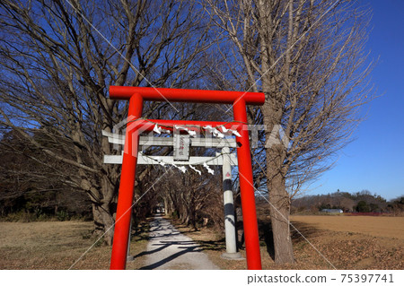 浪漫茨城縣(森林路線入口處的紅色鳥居是Onakeake神社的鳥居之門之一。)龍崎市 浪漫茨城縣(森林路線入口處的紅色鳥居是Onakeake神社的鳥居之門之一。)龍崎市 75397741