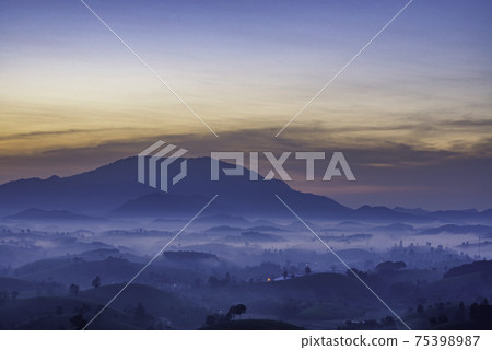 Sunrise in Tea hills in Long Coc highland, Phu Tho province in Vietnam Sunrise in Tea hills in Long Coc highland, Phu Tho province in Vietnam 75398987