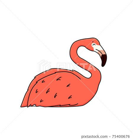 Vector outline cartoon pink peach flamingo... - Stock Illustration  [75400676] - PIXTA