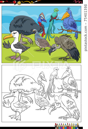 cartoon birds animal characters coloring book page cartoon birds animal characters coloring book page 75401398