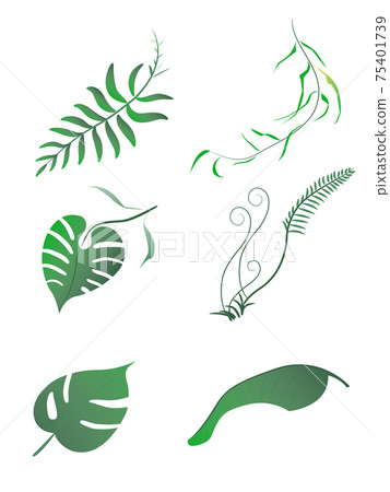 botany leaf isolate on white background botany leaf isolate on white background 75401739