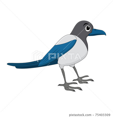 Magpie bird cartoon illustration. Standing crow animal ornithology design. Vector clip art isolated on white background. Magpie bird cartoon illustration. Standing crow animal ornithology design. Vector clip art isolated on white background. 75403309