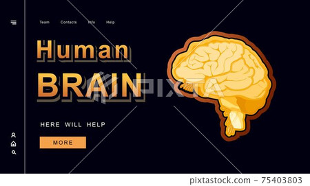 concept vector banner human brain concept vector banner human brain 75403803
