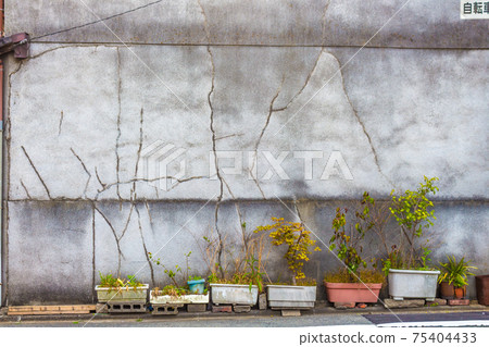 Plants in containers, Kyoto, Japan. Plants in containers, Kyoto, Japan. 75404433