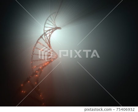 DNA Molecule Helix Genetic Code 75406932