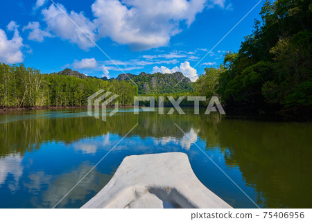 Boat trip along the river in the mangrove forests 75406956