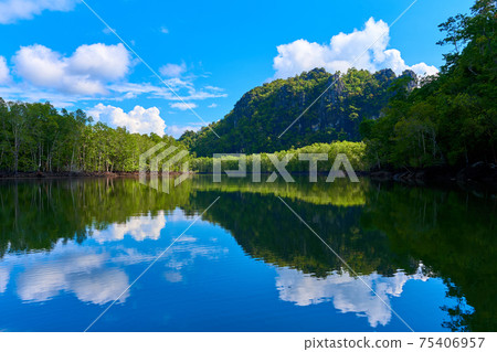 Pure nature landscape river among mangrove forests 75406957