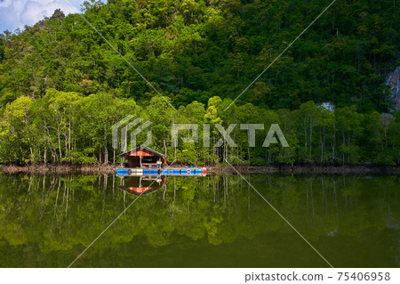 A floating fish farm on the island of Langkawi in Malaysia 75406958