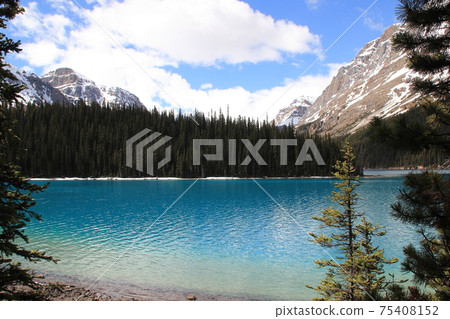 Peyto Lake Peyto Lake 75408152