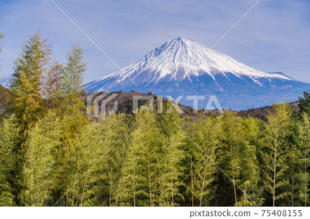 (靜岡縣)富士宮山村里的竹林和富士山 (靜岡縣)富士宮山村里的竹林和富士山 75408155