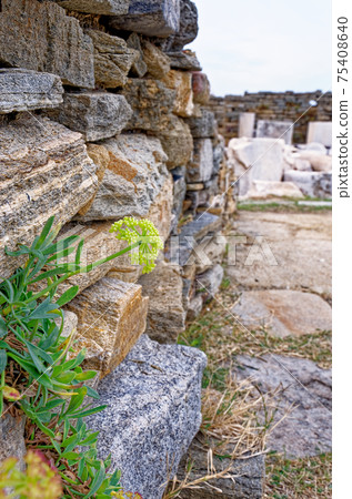 Archaeological Site of Delos - Mykonos - Greece 75408640