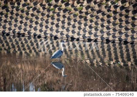 Heron 75409140