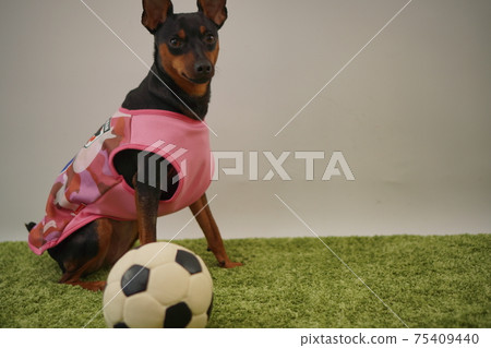 迷你平歇兄弟姐妹足球服裝日本國家隊照片151 75409440