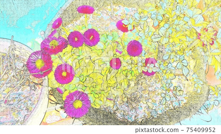 園藝雛菊粉紅色組種植插畫風格 75409952