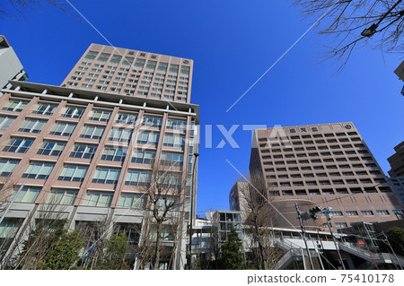 Juntendo University, Bunkyo-ku, Tokyo Juntendo University, Bunkyo-ku, Tokyo 75410178