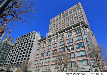 東京文京區順天堂大學 東京文京區順天堂大學 75410182