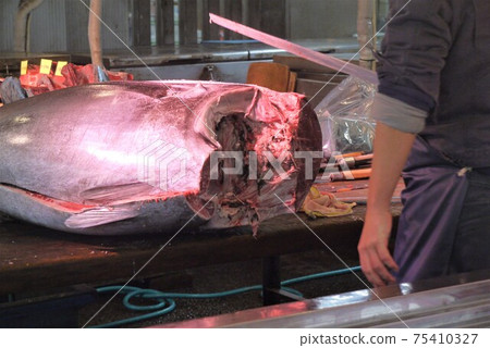 Dismantling of Oma bluefin tuna and tuna auction. 75410327