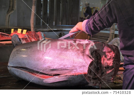Dismantling of Oma bluefin tuna and tuna auction. 75410328