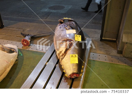 Dismantling of Oma bluefin tuna and tuna auction. 75410337