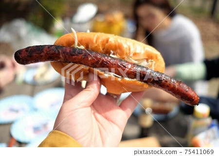 Outdoor cooking (hot dog) Outdoor cooking (hot dog) 75411069