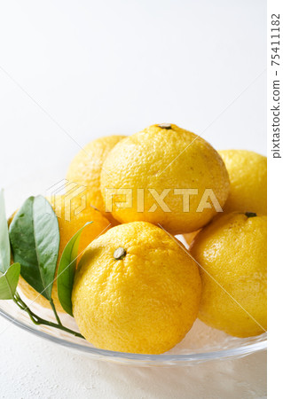 Haruka on a glass plate Haruka on a glass plate 75411182