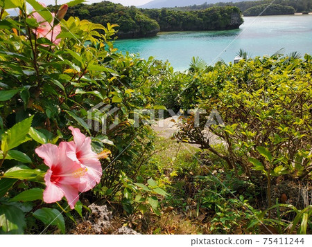 View of Kabira Bay on Ishigaki Island 75411244
