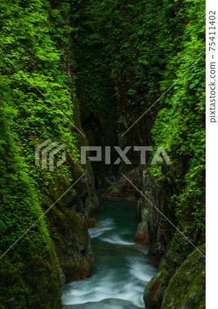 Light in a deep V-shaped canyon Light in a deep V-shaped canyon 75411402