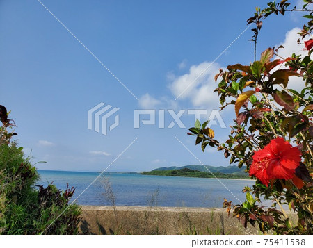 Ishigaki Island coastline view Ishigaki Island coastline view 75411538