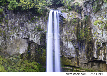 Gorogataki, a famous waterfall with a head of 50 meters (Yamato-cho, Kamimashiki-gun, Kumamoto Prefecture) 75411999