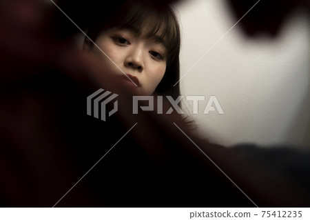 Chic female portrait Chic female portrait 75412235