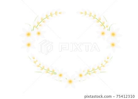 Ixia 75412310