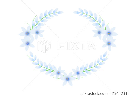 Ixia 75412311