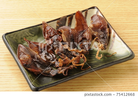 螢火蟲魷魚 75412668