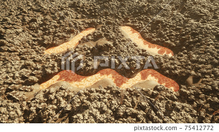 Sad face of desolate earth Environmental destruction 75412772