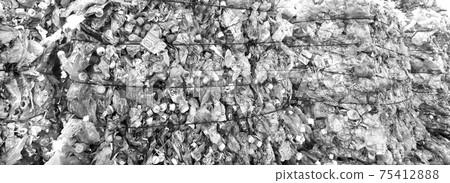 A pile of PET bottles piled up in a recycling facility A pile of PET bottles piled up in a recycling facility 75412888