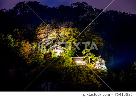 Godaido的照明 75413885