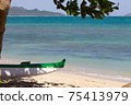 Hawaiian seas and boats Hawaiian seas and boats 75413979