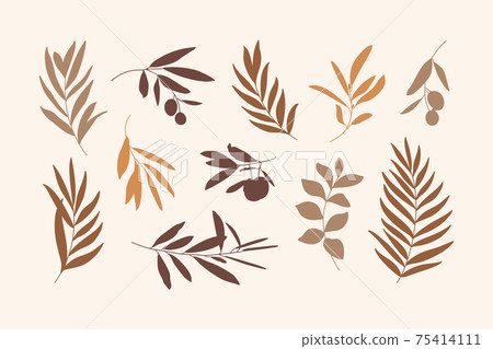 Set of Leaves and Branch. Silhouette Palm leaf and Olive Branch In a Simple Style. Vector Illustration 75414111