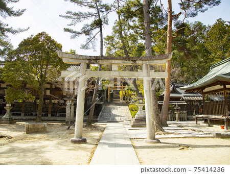 通往今宮神社，築地社和地主稻荷社的石階 75414286