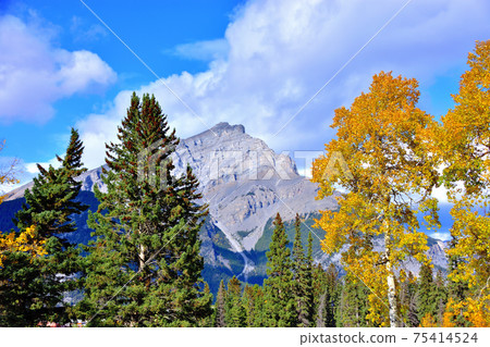 Cascade Mountain and Banff cityscape seen from Cascade Garden 75414524