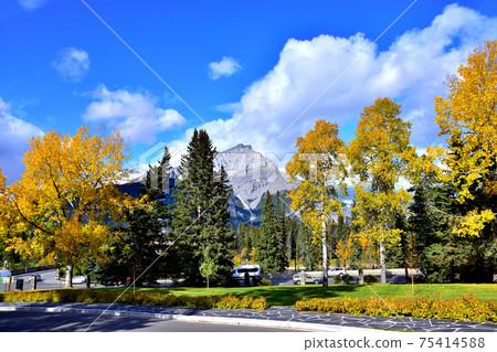 Cascade Mountain and Banff cityscape seen from Cascade Garden Cascade Mountain and Banff cityscape seen from Cascade Garden 75414588