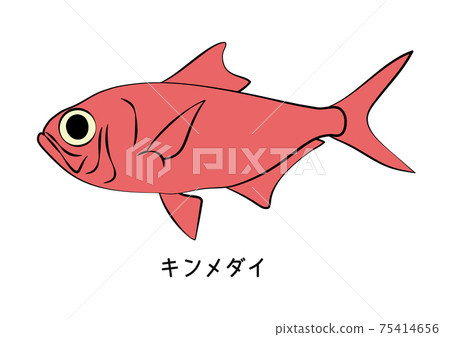 Kinmedai Kinmedai Illustration Vector 75414656