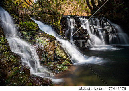 A waterfall leading to the Kikuchi Gorge with a clear stream flowing through nature A waterfall leading to the Kikuchi Gorge with a clear stream flowing through nature 75414676