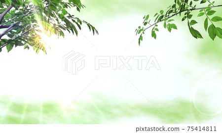 Spring sunbeams fresh green landscape wallpaper background (3DCG) 75414811