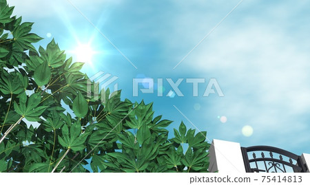 Gate entrance back door fence blue sky background wallpaper (3DCG) Gate entrance back door fence blue sky background wallpaper (3DCG) 75414813