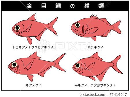 Shizuoka Prefecture Izu Peninsula Kinmedai Stock Illustration