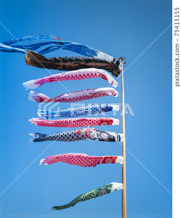 四國鯉魚旗 四國鯉魚旗 75415155